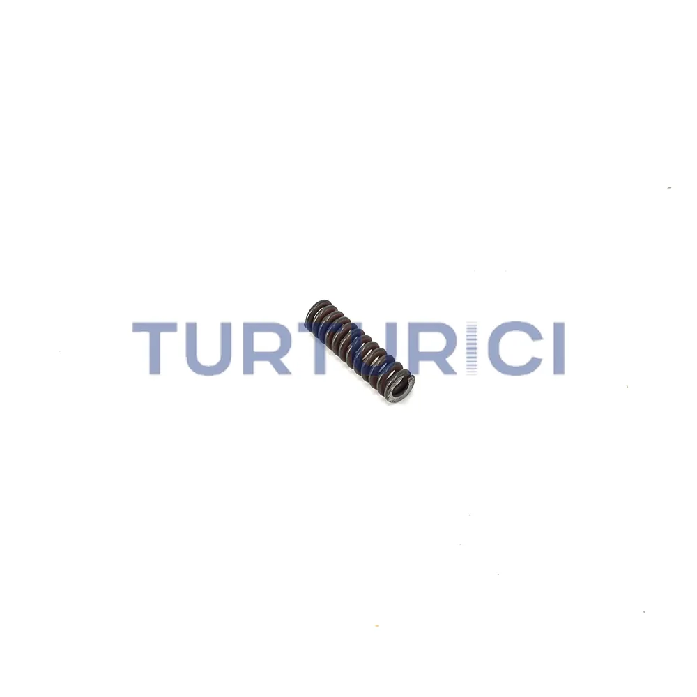 RESORTE S6-1550 ZF